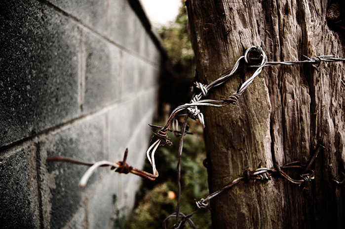 Barbed Wire