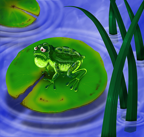 Frog on a Lilly Pad